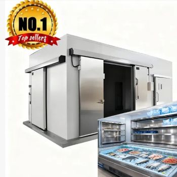 Commercial Chambre Froide Large-Scale Freezing Cold Room Usage Food Origin China Condition New Size Customized Refrigerant - Henan Foodmax Machinery Co., Ltd. - China