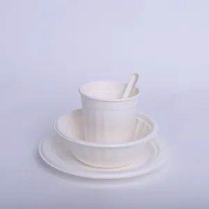 Disposable Lunch Boxes Bowls Cups and Spoons Tableware Origin China OEM Avaliable Model NO. P-1 Color Customize Shape - Henan Techuang Biotechnology Co., Ltd. - China