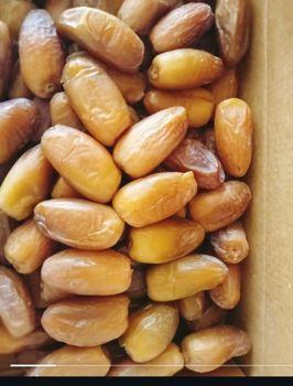 Deglet nour pitted from Fresh Harvest Trade GmbH Deglet nour pitted - Fresh Harvest Trade GmbH - Germany