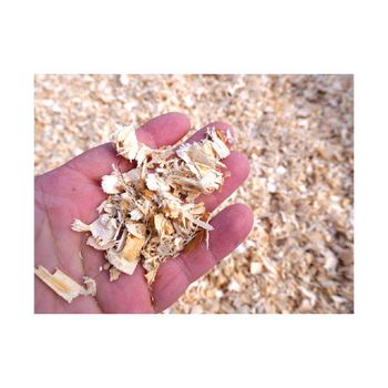 High-quality Wood Shavings Grade Top Packaging Bulk Toxicity Non-toxic Type Wood Shavings Absorbency Superior Dust Level Dust-free - Mutlu Et Mustafa - France