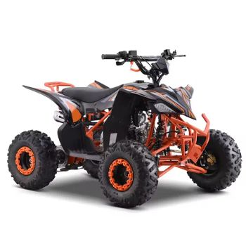 ATV Dune Buggy Best Price High Quatity Electric Beach Buggy - Xingtai Songman Technology Co., Ltd - China
