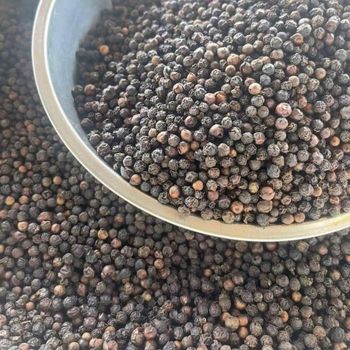 Dry Black Pepper 550 GL Light Dried Black Pepper High Quality Black Peppercorn - NUTRIDIET LDA - United Kingdom