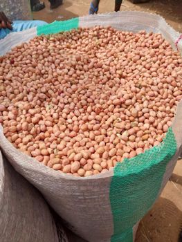 Big seed groundnuts raw and roasted Texture Rich Origin National Form Raw And Roasted Net Weight 1000 litres, Other Delivery Form Bottle, - Winnison merchandise services - Nigeria