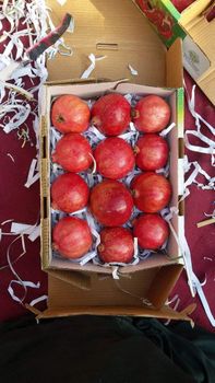 Fresh Pomegranate - Al Ahmad Farooqi Co ltd. - Afghanistan