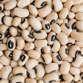 Black Pea Beans - Am star group trading plc - Ethiopia