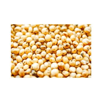 Sorghum grains bulk wholesale available for food and feed industries - MASI TRADING GMBH - Germany