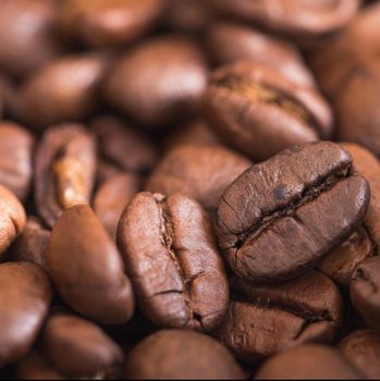 PREMIUM GRADE ROBUSTA BROWN COFFEE BEANS 10kg,60kg PACKAGING/WHERE TO BUY UNROASTED ROBSUTA COFFEE BEANS EXPORT QUALITY - Sosa Merchant Solutions - Austria