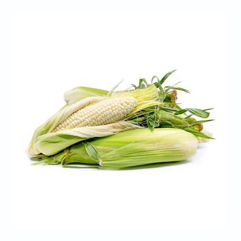 High demand white corn bulk order natural maize fast shipment - HIGHPROFILE AGRICULTURE SERVICES LIMITED - Tanzania