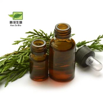 100% Pure Organic Natural Plant Essential Massage Oil Cypress Essential Oil - Xi'an Haoze Biotechnology Co., Ltd. - China