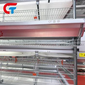4 Tiers Farming Equipment Factory Price Chicken Layers Poultry Battery Cage - Wulian Changtai Intelligent Technology Co.. Ltd. - China