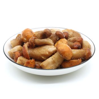 Dried Porcini Wild natural dehydrated mushroom Slicing iqf freezing Boletus edulis of price - Qingdao New Source Imp.& Exp. Co., Ltd. - China