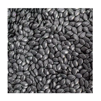 Buy best Premium Quality Wholesale water Melon Seeds for sale at Best Price -  CALIPSO POLSKA SP Z OO  - Poland
