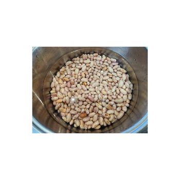 Premium grade sugar beans for wholesale food supply and processing - HIGHPROFILE AGRICULTURE SERVICES LIMITED - Tanzania
