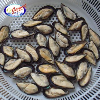 Frozen green mussel supplier 1Kg/Bag or 1Kg/Box package frozen half shell mussel in shellfish with low price - Zhoushan Yunyi Trading Limited - China