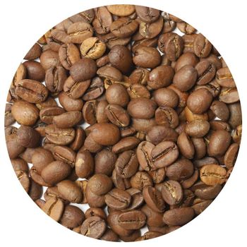 Arabica Coffee Bean Selected Fresh Harvest Crop Delivering Rich Fragrance Balanced Taste And Reliable Supply - TOSOH INTERNATIONAL - South Africa
