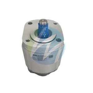 Forklift Gear Pump 4331495 Aluminum Alloy Polishing 1PC 10x10x10cm Hefei Lithium - Hefei Lithium Machinery Technology Co., Ltd - China