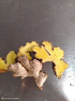 fresh ginger - AYAAT-ALAM TRADING COMPANY LTD - Vietnam