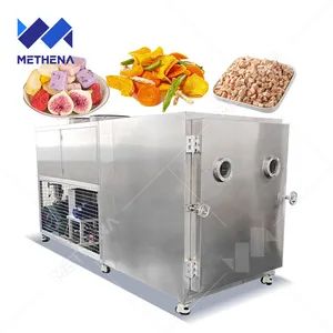 Commercial Vacuum Freeze Drying Dragon Fruit Vegetable and Food Machine - Henan Methena Machine Co., Ltd - China