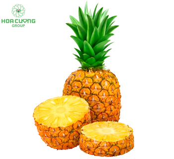 IQF Frozen Pineapple Coliform 10 Color Light Yellow E.coli Not Detected Shelf Life 24 Months Brix Level Minimum 10 Place of Origin Viet Nam - BLUE WAVE INTERNATIONAL LIMITED LIABILITY COMPANY - Vietnam