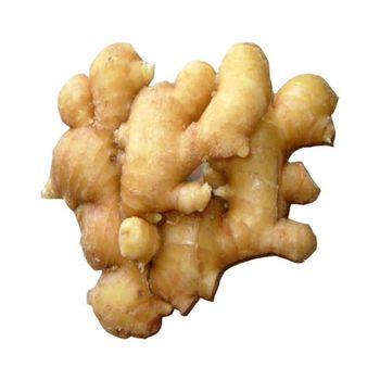 Bulk supply of fresh ginger available for health food companies and retailers - CHHC AGR0-CHEMICAL PRODUCTS WHOLESALING - Philippines