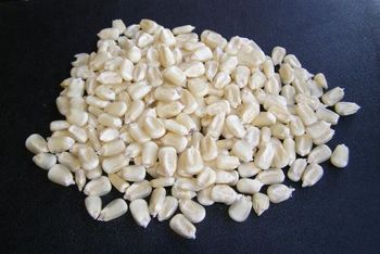 Barley - Zabs Holdings - South Africa