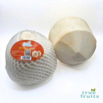 TF Diamond Coconut – product photo, Diamond Coconut products found from trusted suppliers, wholesalers, manufacturers & exporters Listing