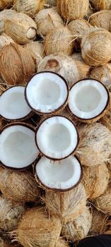 Semi Husked Coconut - Rinaaz Logistics - India