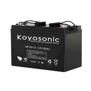 Rechargeable 12V 100ah Sealed Lead Acid UPS Battery Solar Battery Pack for Backup System - Koyosonic Power Co., Ltd. - China