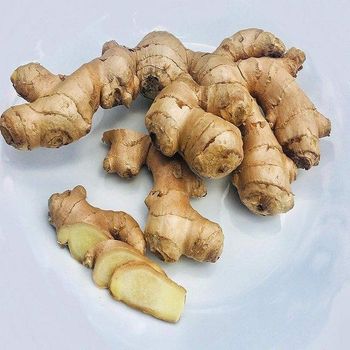 Freshly Picked Organic Ginger France Natural Agricultural Production Export Grade 10kg For Global Distribution - TRADECENTRIC LLC - United States