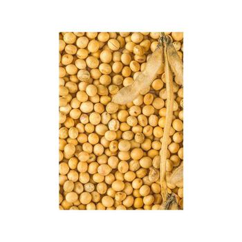 soybeans ready for sale with global shipping and secure packaging solutions - HIGHPROFILE AGRICULTURE SERVICES LIMITED - Tanzania
