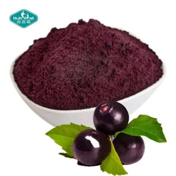 Nutrifirst Acai Berry Extract Powder Spray Dried 4:1 10:1 20:1 GMP Halal Kosher - Nutrifirst Biotech Inc. - China