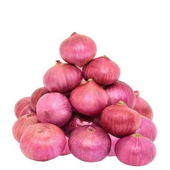 Fresh Red Onion 45mm+ Size for Malaysia & Sri Lanka Form Whole Organic No Origin India Degree of Processing Dried - Axilion Exim Private Limited - India