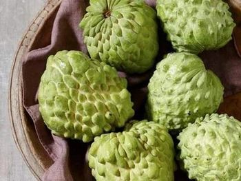 Custard Apple (Sitaphal) Packaging 25kg-50kg Color Green, Scaly Skin Texture Soft, Creamy White Pulp Seed Content Filled With Black Seeds - Jaishnavi Exports - India