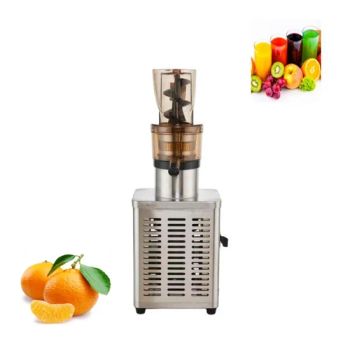 Electric Cold Press Juicer Apple Juice Machine Fruit Vegetable Juicer Machine - Henan Topp Machinery Co., Ltd. - China