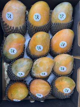 Mangoes 🥭 - El Rabie for Import & Export - Egypt