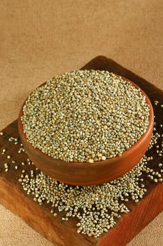 Clean pearl millet bulk sale high quality grains wholesale distribution - HIGHPROFILE AGRICULTURE SERVICES LIMITED - Tanzania