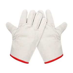 Canvas Gloves Non-Disposable Other Wear-Resisting Canvas Cotton Glove for Worker - Hunan Dingguan Industry and Trade Co., Ltd. - China