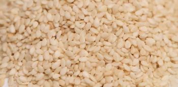 Sesame seed - akin-timex integrated services limited - Nigeria