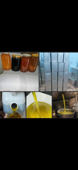 Olive oil - Ben amor olive oil l - United States