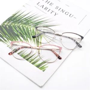 Fashion Spectacle Optical Frame Metal Optical Eye Glasses Frames Manufactore - Wenzhou Higo Optical Co., Ltd. - China