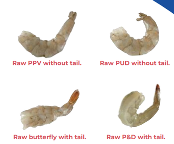 Ecuadorian Vannamei Shrimp - CAMARONES Y PESCAS DEL ECUADOR CAMPEEC S.A - Ecuador