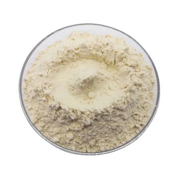 Vital Gluten Flour Food Grade Vital Wheat Gluten Powder for Bread - BEIJING MUGU TECHNOLOGY CO., LTD. - China