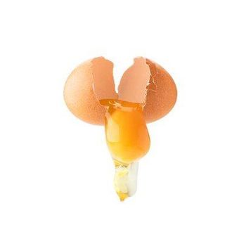 Freeze-Dried Pet Egg Yolk Whole Egg Yolk Freeze-Dried Raw Egg Yolk Cat and Dog Training Reward Snacks Factory Wholesale Freeze-Dried Pet Egg Yolk Whole Egg Yolk Freeze-Dried Raw Egg Yolk Cat and Dog Training Reward Snacks Factory Wholesale - GLOBOTO TRADE BRASIL LTDA - Brazil