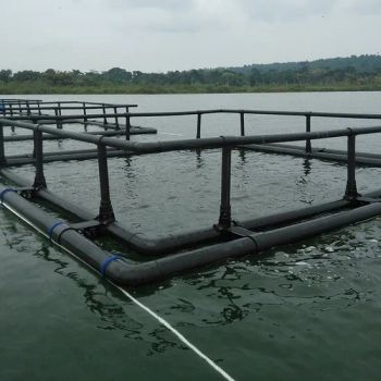 Diameter 16m Trout Farming Sea Cage Fitting Injection Molded Bracket - Qingdao Qihang Fishing Cage Co., Ltd. - China
