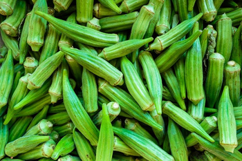 High quality okra bulk supply factory price fast delivery - Mundus Exports Pty Ltd - South Africa