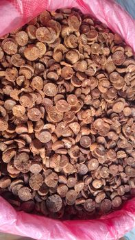 Betel Nut - Borneo Nusantara Paradise - Indonesia