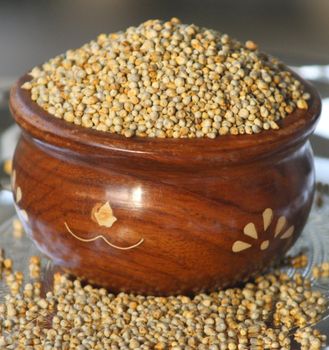 Industrial pearl millet bulk supply premium grade grains fast delivery - HIGHPROFILE AGRICULTURE SERVICES LIMITED - Tanzania