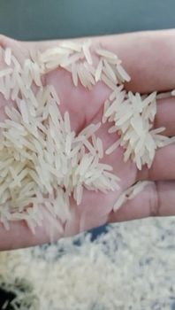 1121 Basmati Rice – product photo, 1121 Saila Rice products found from trusted suppliers, wholesalers, manufacturers & exporters Listing