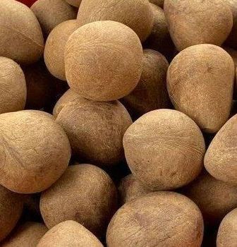 Dried Coconut, Desiccate Coconut Powder, Semi Husked - EFU Traders - India