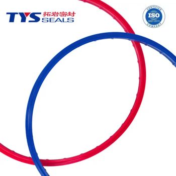 DH-5 Blue O-Ring Dust Seal 18-200mm 2m/S -40°C~110°C 1Y Color Blue Shape O-Ring Origin Xiamen Trademark TYS Type Dust Seal - Xiamen TYS Seals Technology Co., Ltd. - China